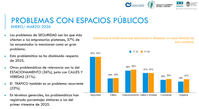 Encuesta 2026 7